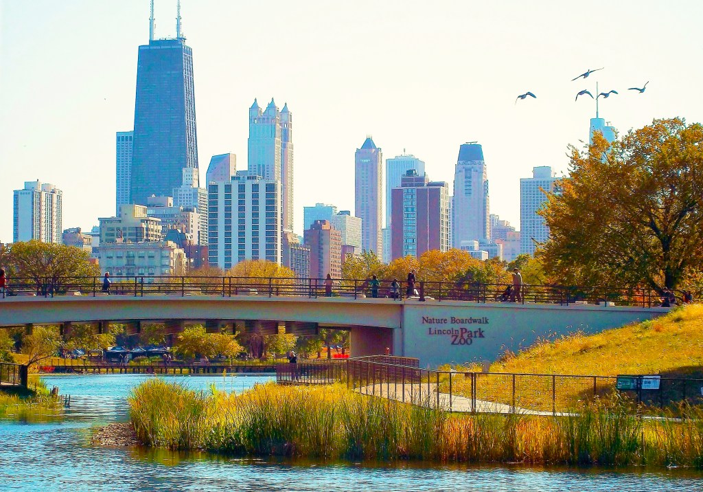 Lincoln Park: Chock-Full of Decaying&nbsp;Corpses