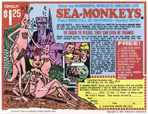seamonkeyad