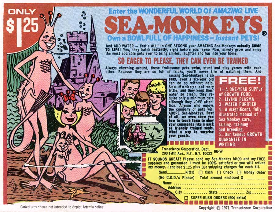 Sea-Monkeys: A bowlful of&nbsp;happiness
